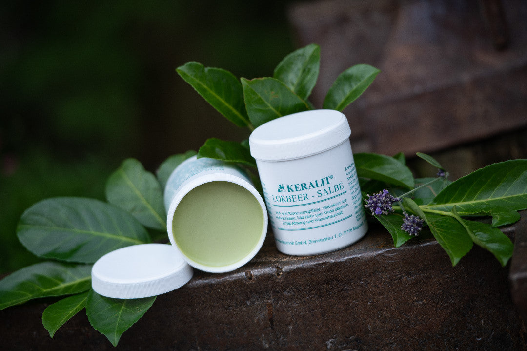 KERALIT® Lorbeersalbe - für Elastizität & Hufwachstum