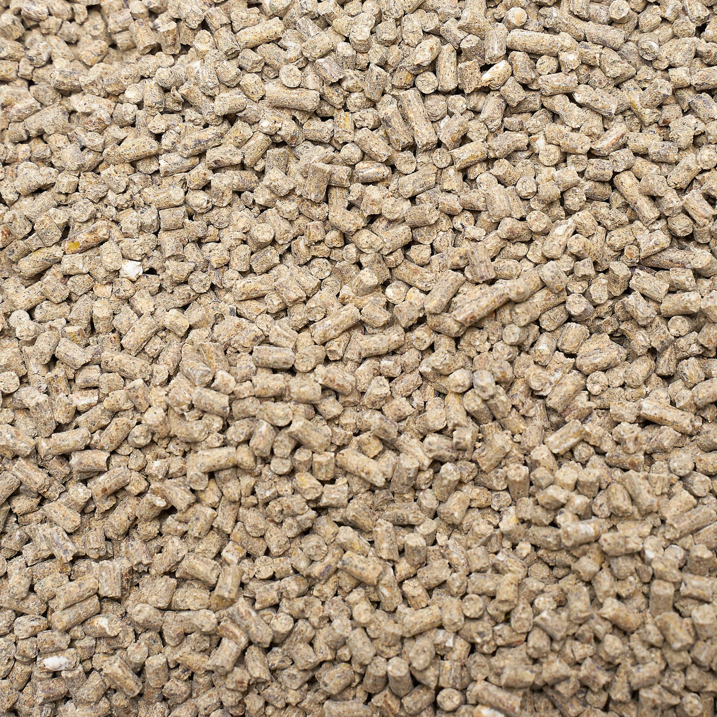 Mineral Mix Apfel/Karotte - Breitbandmineral für eine ausgewogene Mineralversorgung