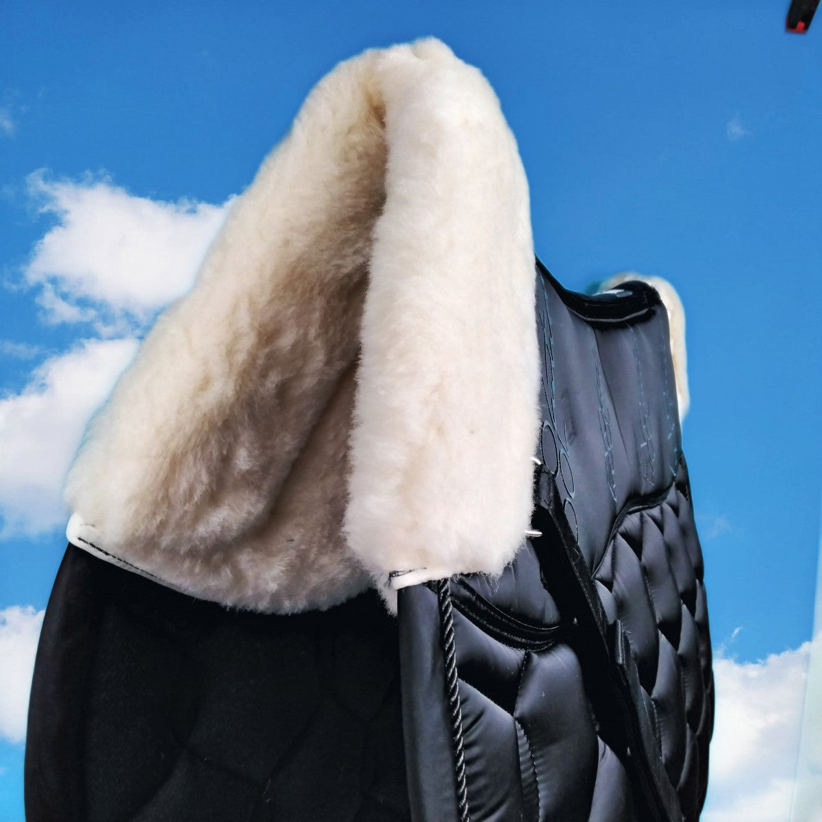 Eskadron Schabracke "Glossy EVO-WOOL Basics"