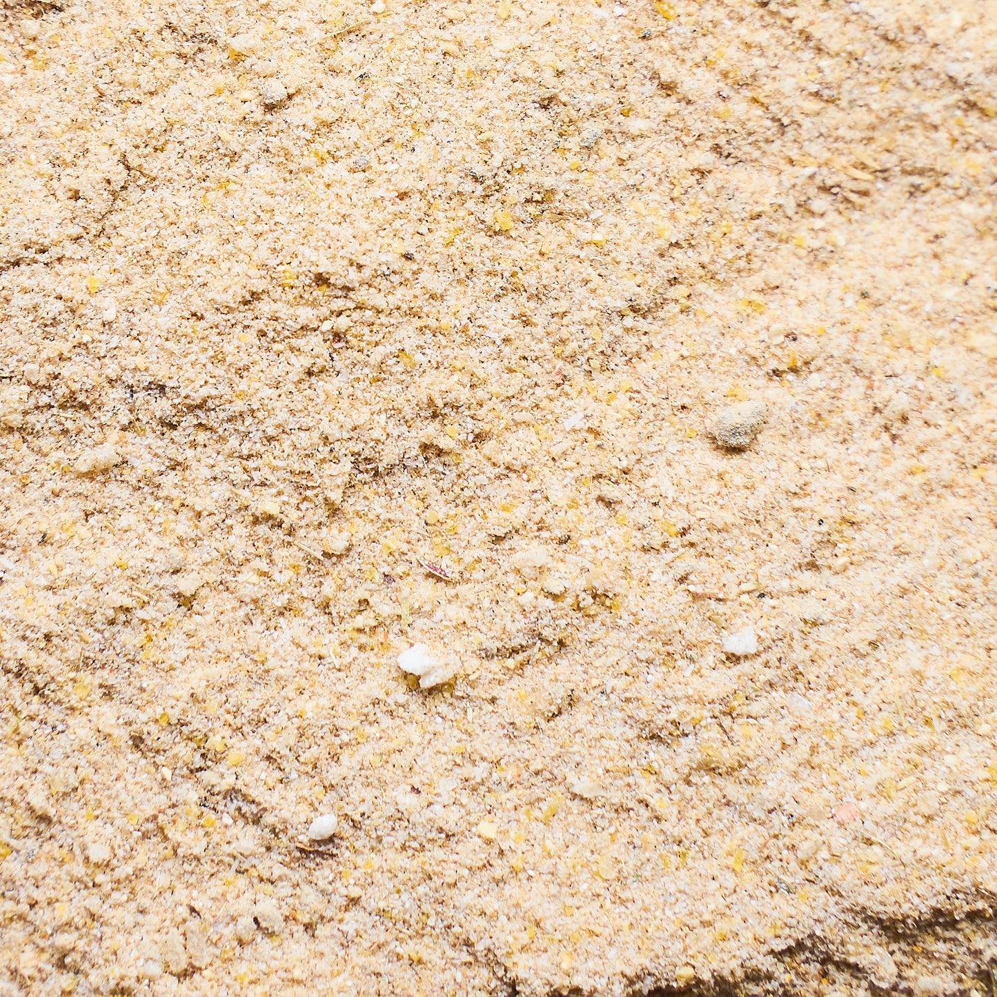 Movevit Gelenke - Grünlippmuschel, Arnika und Schwarzkümmel für gesunden Bewegungsapparat