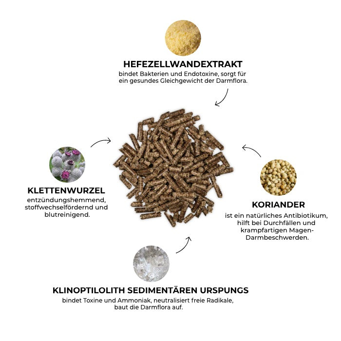 Kristallkraft No 2 - die alternative Entgiftungskur