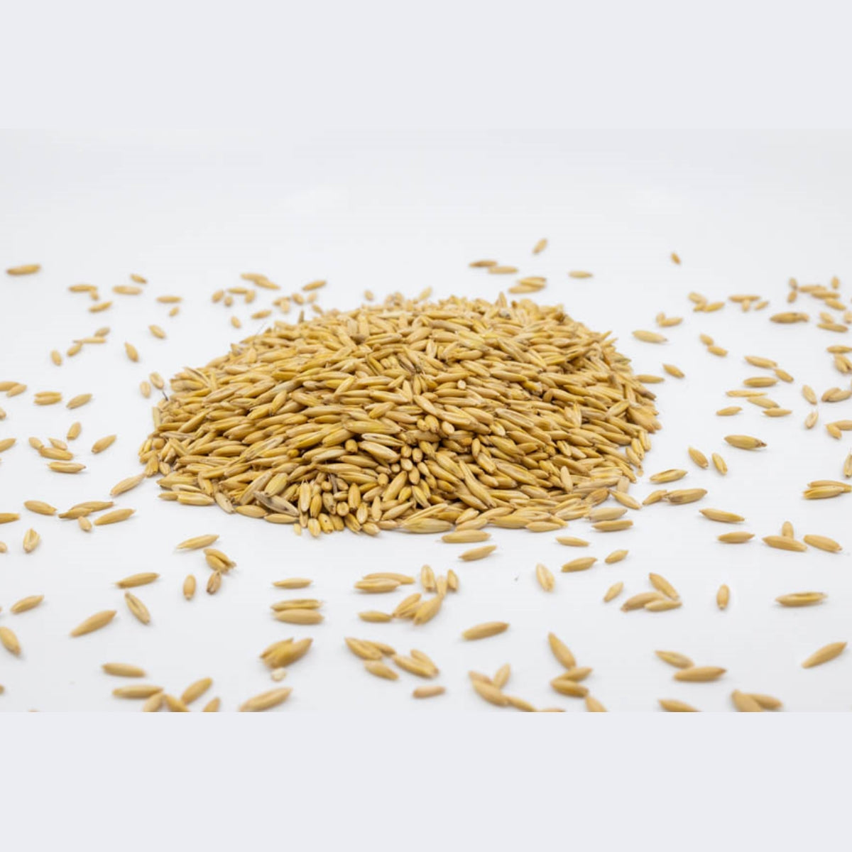 Fixkraft Qualitätshafer - die Kraft des gelben Hafers