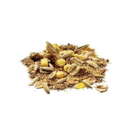 Pavo Slobber Mash - der warme Leckerbissen