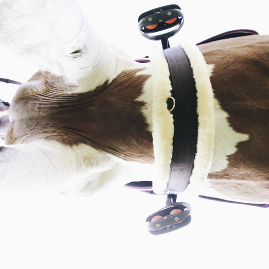 KENTUCKY Gurt - Sheepskin Girth - Brown