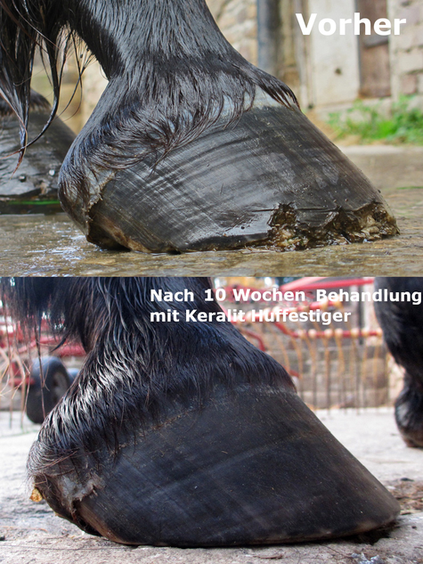 KERALIT® HUF-FESTIGER - mehr Widerstandsfähigkeit für Hufe