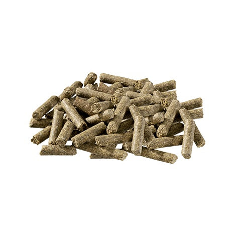 Pavo PodoStart - alles Wichtige für ein gesundes Fohlen