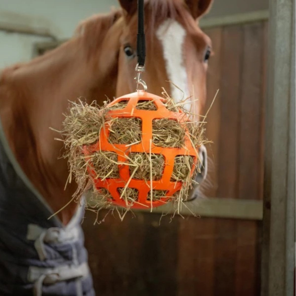 Hay Slowfeeder flex & fun - gegen Langeweile & für langsames Fresstempo