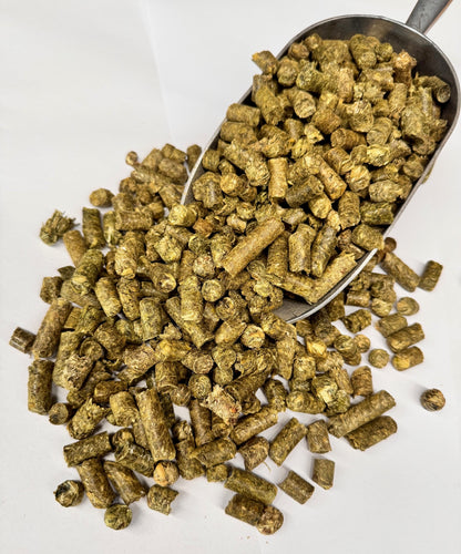 Grünhafer-Pellets/Cobs - eiweißarm & rohfaserreich aus der ganzen Pflanze