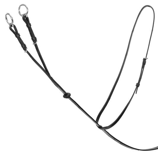 Döbert Martingal Köln