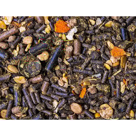 Pavo 18Plus Sensitive - Speziell auf die Bedürfnisse sensibler Senioren abgestimmt