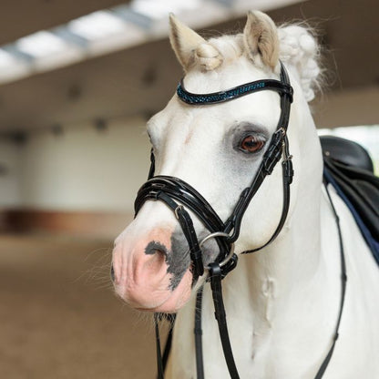 Imperial Riding - Bridle IRHPetit - Sapphire