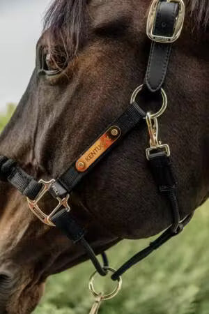 KENTUCKY Kontrollhalfter