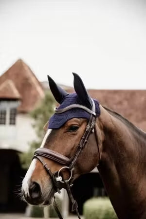 KENTUCKY  -  Fliegenhaube Wellington