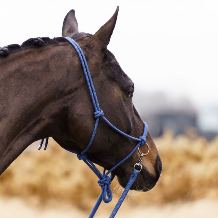 Imperial Riding - Rope headcollar IRHFree Ride - Sapphire