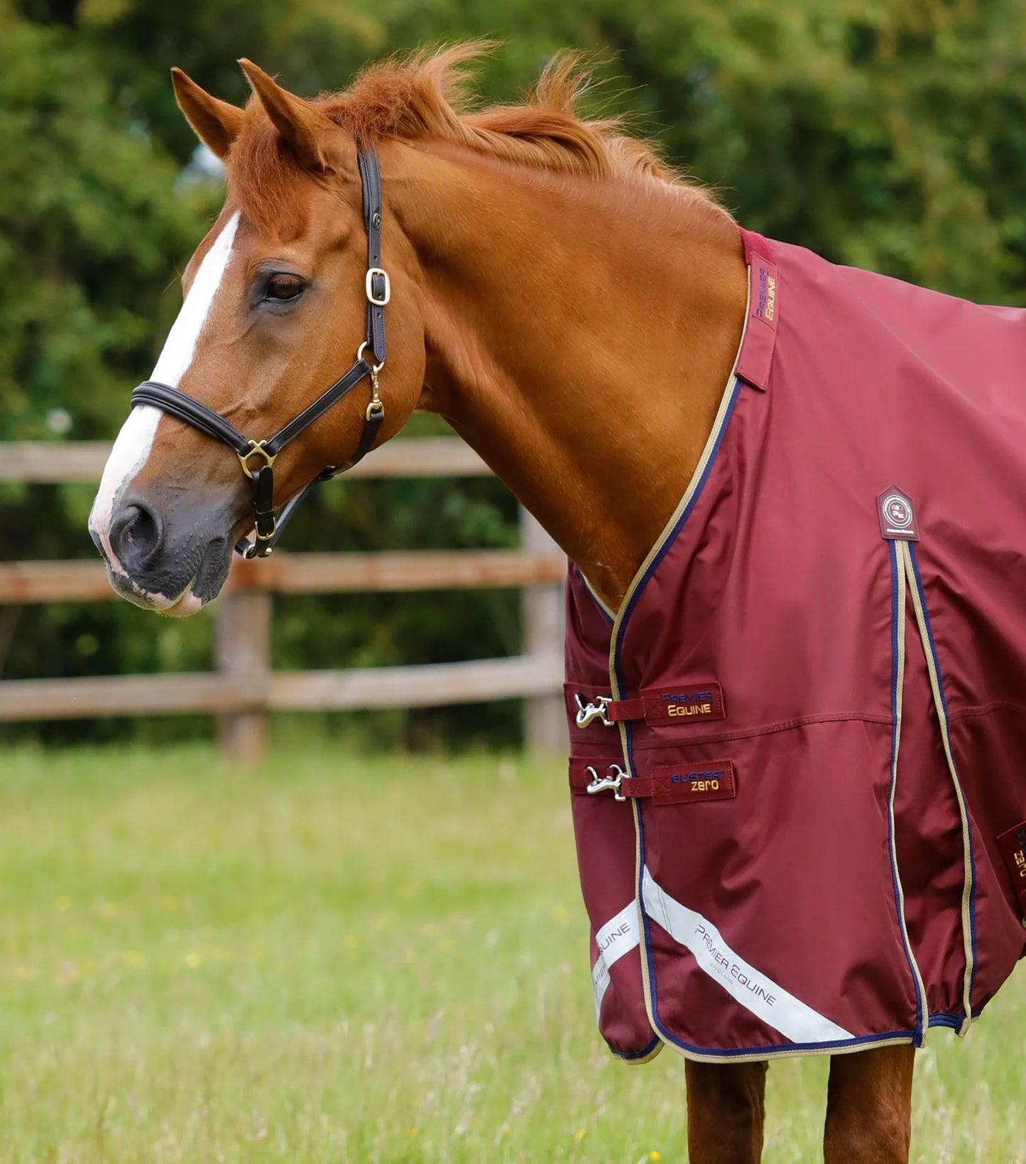 Premier Equine - Buster Zero Turnout Decke mit klassischem Nackenschutz/Halsteil - Burgundy