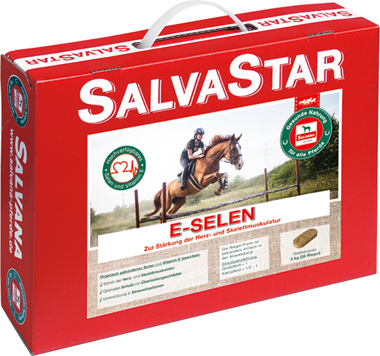 SALVASTAR E-SELEN - Selen Ergänzung fürs Pferdefutter zur Unterstützung der Herz- und Skelettmuskulatur