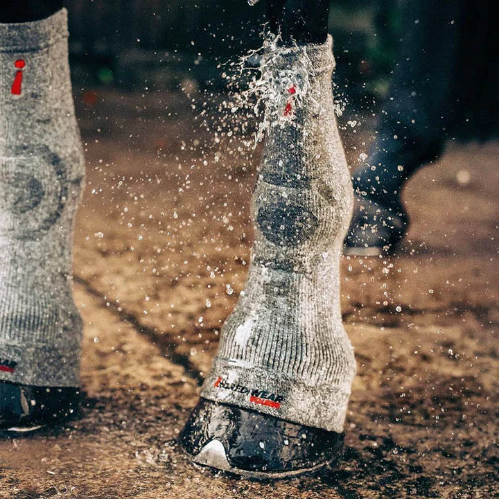 ESS Incrediwear Equine Hoof Socks - für effektive Regeneration & Erholung