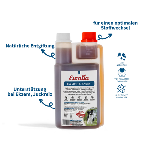 EWALIA Leber-Nierensaft für Hunde 500ml
