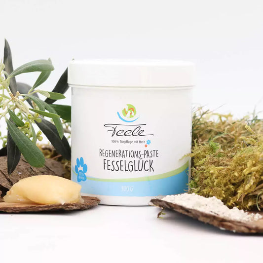Feele „Fesselglück“ - Maukestop - kolloidales Silber, Propolis, Zeolith