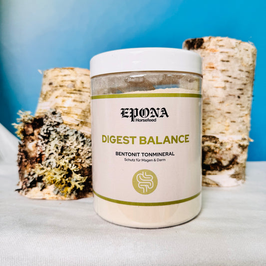 Digest Balance - reines Bentonit-Tonmineral - Schutzschild für Magen, Darm und Stoffwechsel