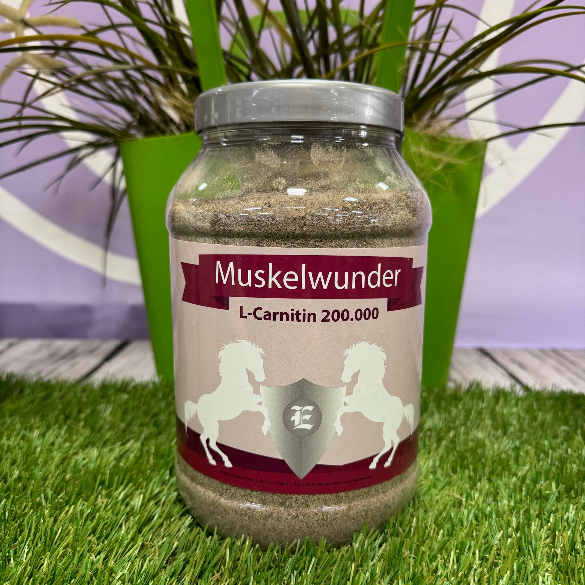 l carnitin pferd Muskelwunder L-Carnitin 200.000 EQUIPUR - racepower: Mehr Leistung