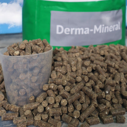 Lexa - Derma Mineral - Hochwertiges Mineralfutter speziell für Pferde mit Haut- und Fellproblemen