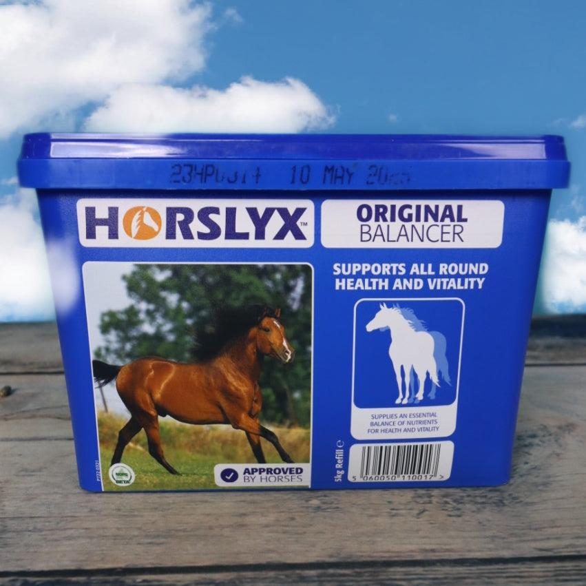 Mini Horslyx Original 650 g Schale - Leckmasse zum Ausgleich fütterungsbedingter Mängel