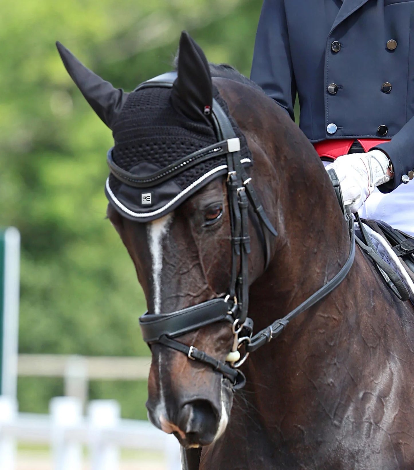 Premier Equine - Salto Fly Veil