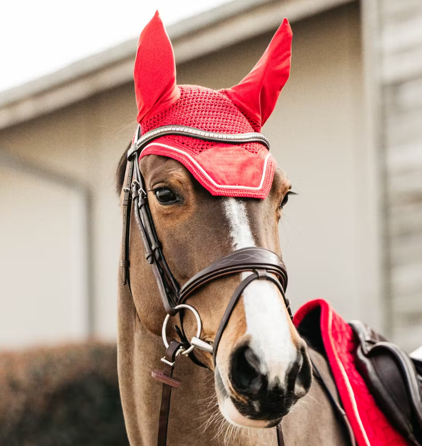 KENTUCKY  -  Fliegenhaube Wellington Velvet