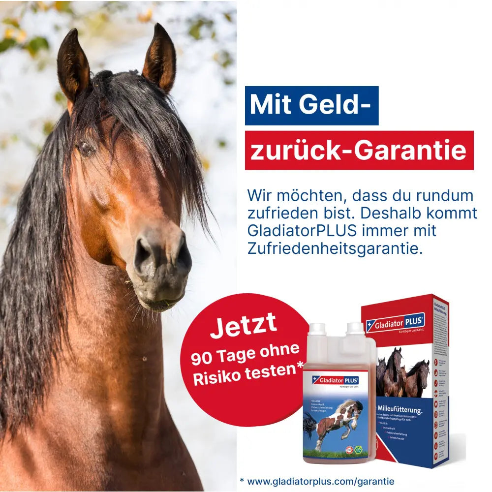 GladiatorPLUS Pferd - Unterstütze dein Pferd ganzheitlich – mit nur einem Schluck pro Tag!