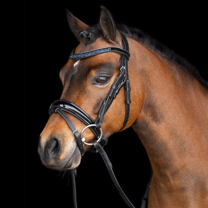 Imperial Riding - Bridle IRHPetit - Sapphire