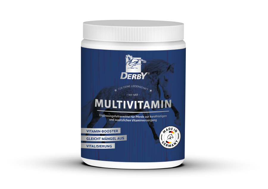 DERBY Multivitamin 700g