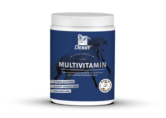 DERBY Multivitamin 700g