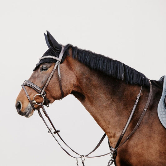 Döbert Gurtzügel Köln