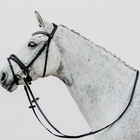 Döbert Lederzügel Essen