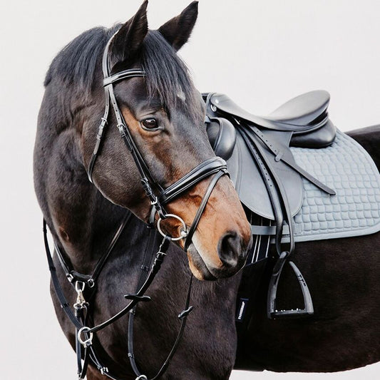 Döbert Trensenzaum Köln