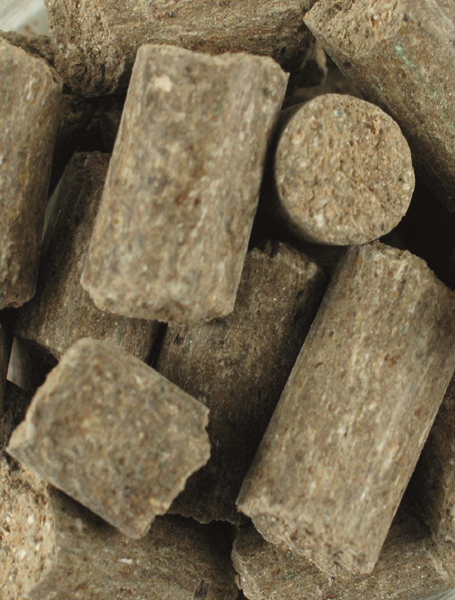 Lexa - Vierjahreszeiten Cobs