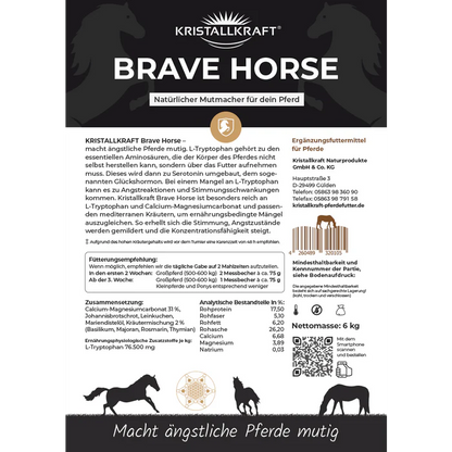 Kristallkraft Brave Horse - Natürlicher Mutmacher
