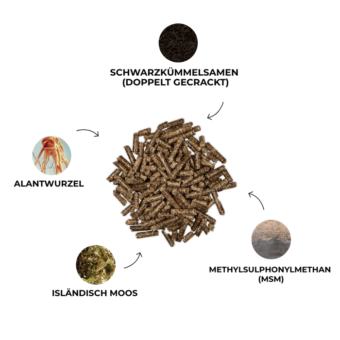 Kristallkraft Bronchiale - Atemwegskur