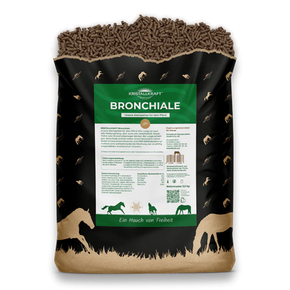 Kristallkraft Bronchiale - Atemwegskur