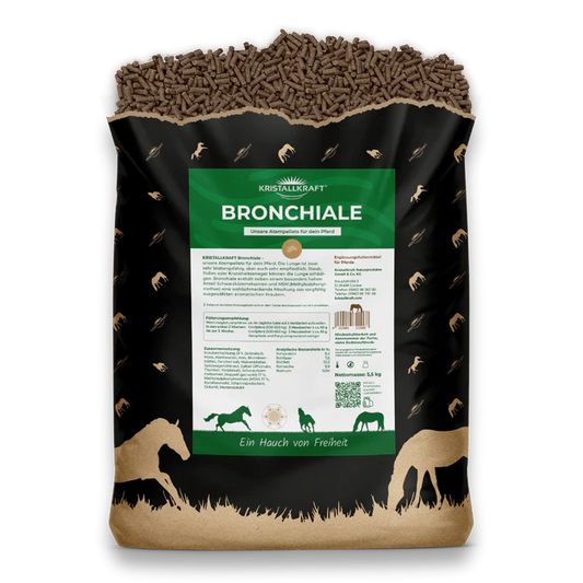 Kristallkraft Bronchiale - Atemwegskur