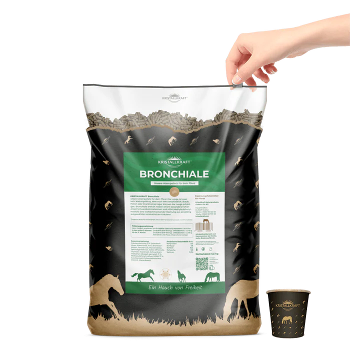 Kristallkraft Bronchiale - Atemwegskur