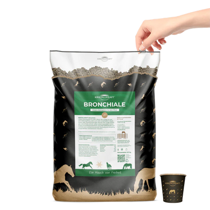 Kristallkraft Bronchiale - Atemwegskur
