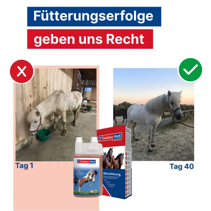 GladiatorPLUS Pferd - Unterstütze dein Pferd ganzheitlich – mit nur einem Schluck pro Tag!