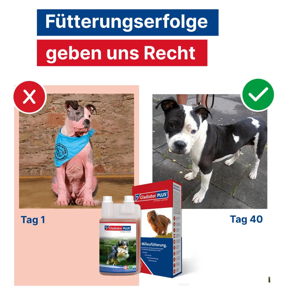 GladiatorPLUS Hund - Unterstütze deinen Hund ganzheitlich – mit nur einem Schluck pro Tag!