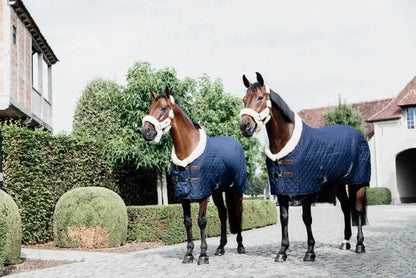 KENTUCKY - Turnierdecke - Navy